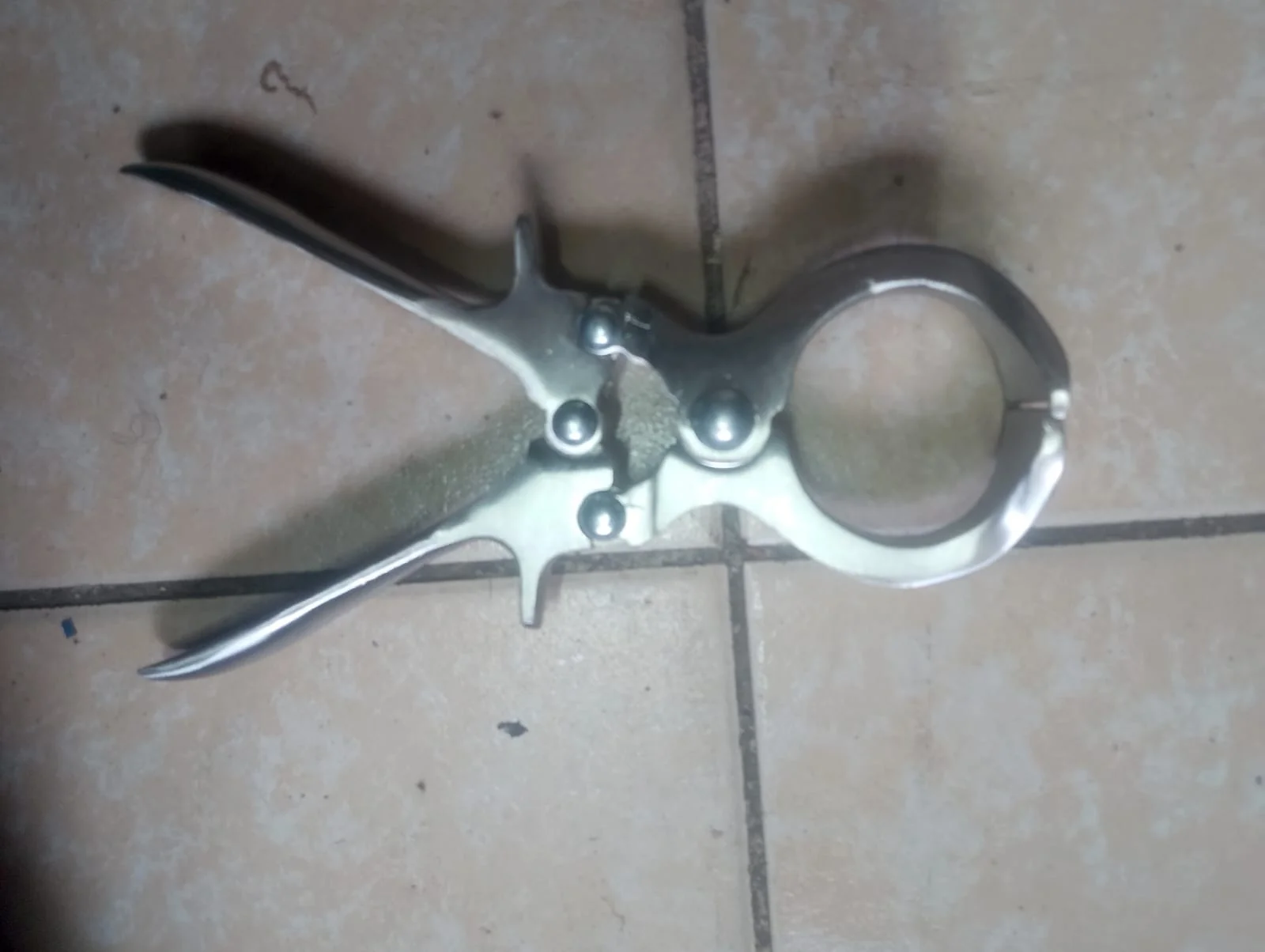Burdizzo Castrator – 14 inch